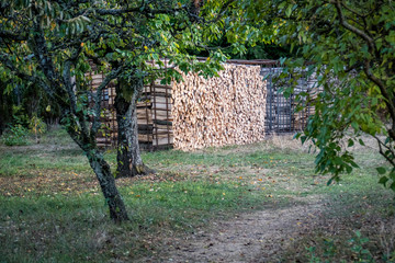 Ster Brennholz © focus finder