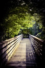 Fototapeta premium wooden bridge in forest