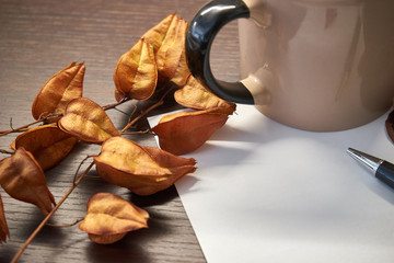 Autumn foliage pen and paper on the table.