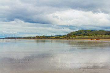 Panoramic View of Muriwai Beach Auckland New Zealand; Regional Park