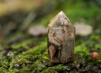 Natural polished shamanic dream quartz point with various inclusions on moss, bryophyta and bark, rhytidome in forest preserve.