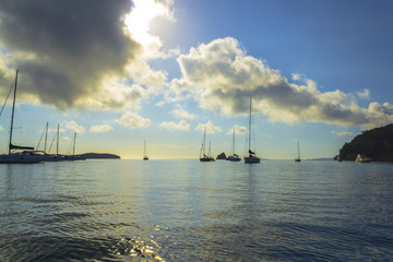 Landscape Scenery of Sullivans Bay Mahurangi Beach Auckland, New Zealand