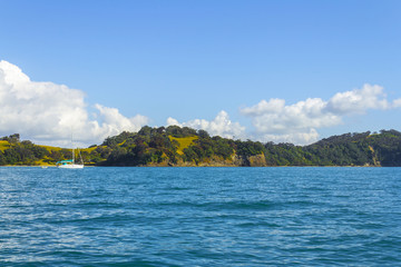 Fototapeta premium Landscape Scenery of Sullivans Bay Mahurangi Beach Auckland, New Zealand