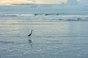 El Cuco Black Sand Beach, El Salvador