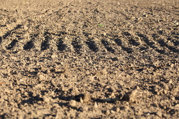 Tractor trail on field, agriculture