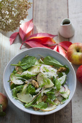 Apple and fennel salad with walnuts and greens