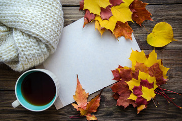 Autumn frame with leaves, tea and warm scarf