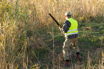 Fototapeta premium Hunters with a german drathaar and spaniel, pigeon hunting with dogs in reflective vests
