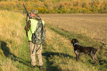 Hunters with a german drathaar and spaniel, pigeon hunting with dogs in reflective vests