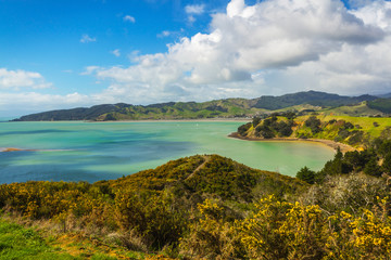 Landscape Scenery of Waitawa Regional Park, New Zealand
