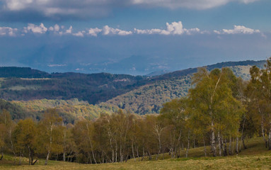 birch woods that from the top of Mottarone degrade to the Lake Maggiore seen in the background
