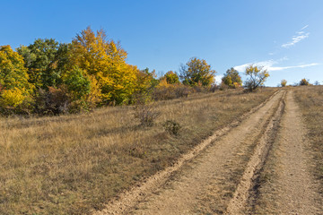 Fototapeta na wymiar Autumn landscape of Cherna Gora (Monte Negro) mountain, Pernik Region, Bulgaria