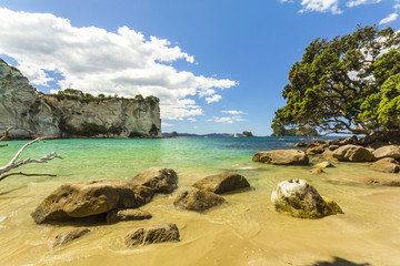Landscape Scenery of Stingray Bay Beach, Coromandel Peninsula - New Zealand; Clear water and peaceful beach
