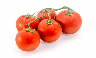 Tomatoes isolated on white background