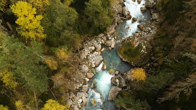 Top aerial view of a fast mountain river flowing in the coniferous autumn forest. Pure mountain water in the natural environment