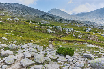 Summer landscape of Spano pole, Pirin National park, Bulgaria