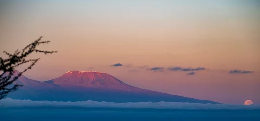 Crédence en verre imprimé Kilimandjaro La montagne du Kilimandjaro