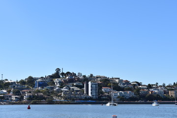 Brisbane - Suburban Skyline 