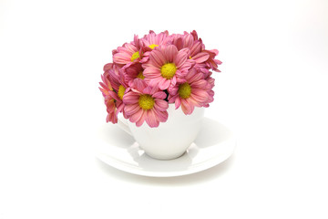 コーヒーカップに挿した菊