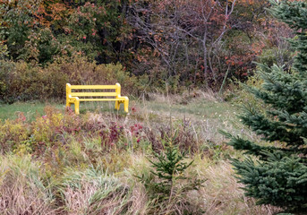 another lonely wooden bench in autumn park, no people