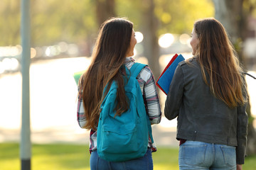 Back view of two students walking and talking