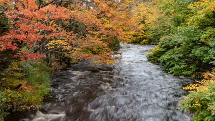 stream in autumn