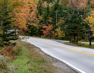 road in autumn