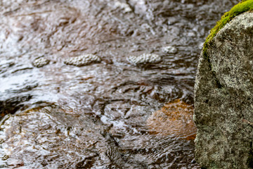 water flowing over leaves