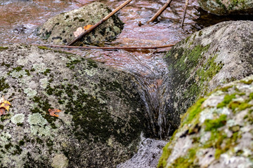 moss on the rocks