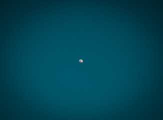 Cherry blossoms in Japan