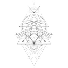 Vector illustration with hand drawn wasp and Sacred geometric symbol on white background. Abstract mystic sign. Black linear shape. For you design: tattoo, posters, t-shirts, textiles and magic craft.