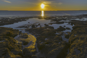 Sunrise Scenery at Campbells Bay Beach Auckland, New Zealand