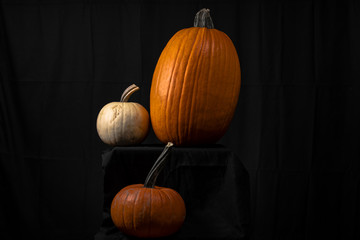 Pumpkin Fall Halloween