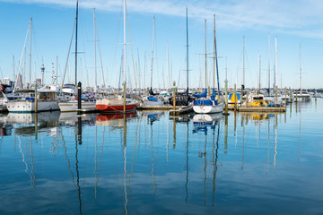 Fototapeta na wymiar Bayswater Marina Auckland New Zealand; Popular Fishing Spot