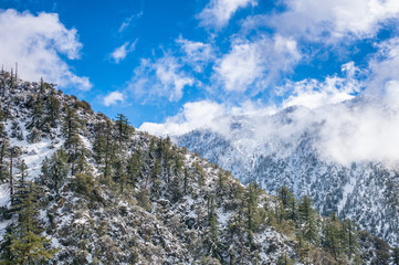 Baldy Mountain - Winter
