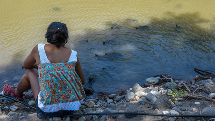 Woman feeding turtles at the beach