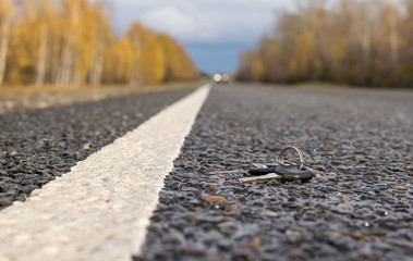 Lost a bunch of keys lying on the asphalt surface of the roadway