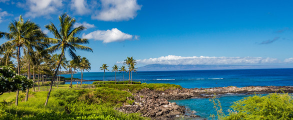 Maui - obrazy, fototapety, plakaty