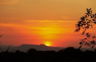 Las hojas al atardecer