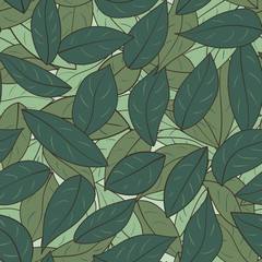 green leaves pattern. Many leaves, one on another. Fresh foliage of trees. Lemon leaves.