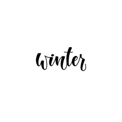 Fototapeta na wymiar Vector illustration: Hello Winter elegant modern brush lettering isolated on white background.