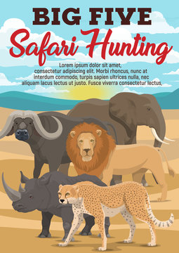 African safari hunting sport, animals