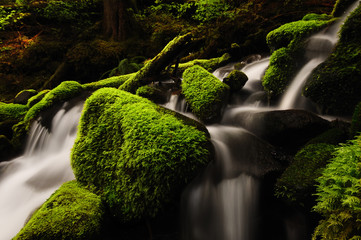 Sol Duc creek in spring - Olympic National Park in Washington