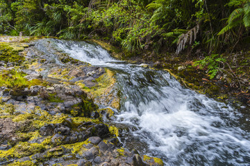 Nihotupu Waterfalls, Piha Auckland New Zealand; Step 1 Falls