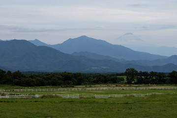 Naklejka premium The fields of a Kiyasato dairy farm with the tip of Mt. Fuji lurking behind