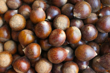 Background of the chestnut. A lot of chestnuts.