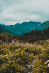 North Face Trail in Alaska