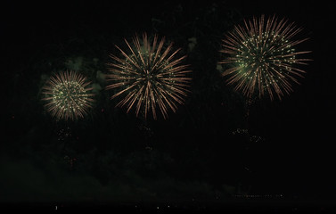 Colorful fireworks on the black sky background