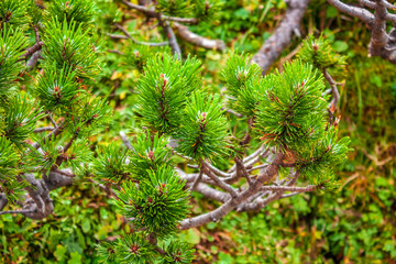 Enjoy the colors over mountains and valleys.