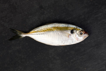 Raw fresh small yellow striped tervally banded slender fish